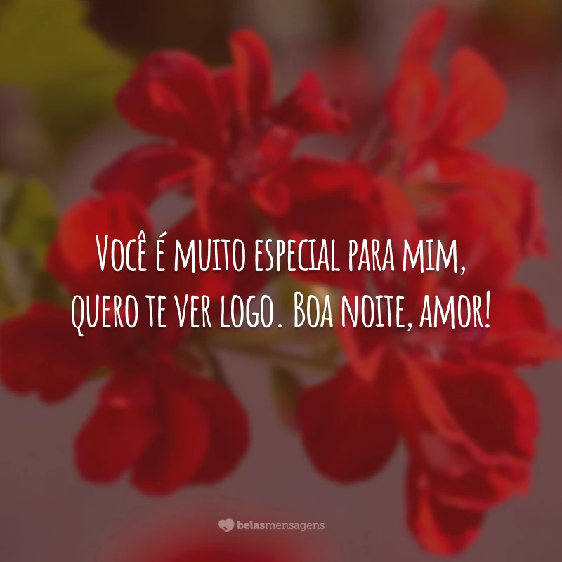 Você é muito especial para mim, quero te ver logo. Boa noite, amor!