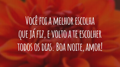 Você foi a melhor escolha que já fiz, e volto a te escolher todos os dias. Boa noite, amor!