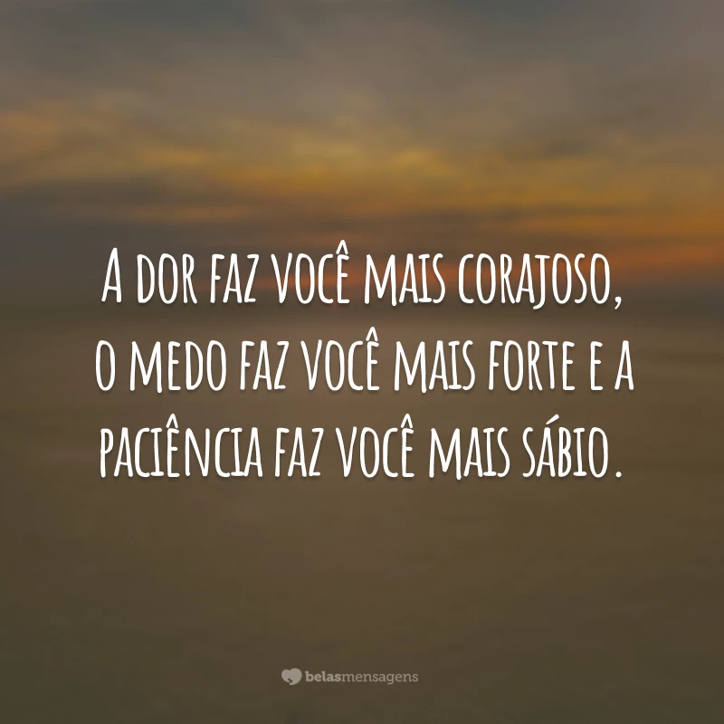 A dor faz você mais corajoso, o medo faz você mais forte e a paciência faz você mais sábio.