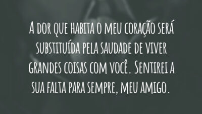 A dor que habita o meu coração será substituída pela saudade de viver grandes coisas com você. Sentirei a sua falta para sempre, meu amigo.
