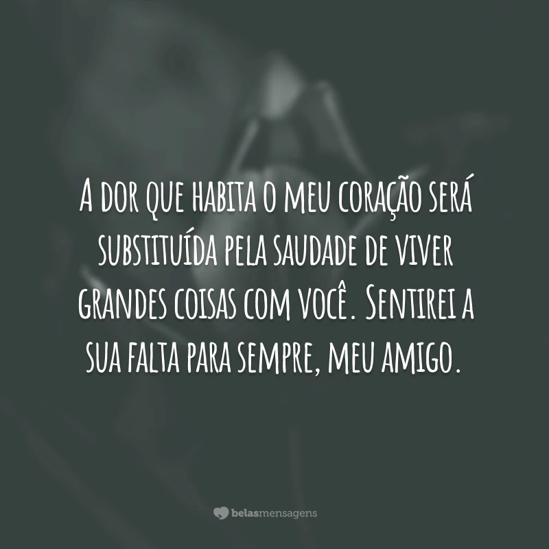 A dor que habita o meu coração será substituída pela saudade de viver grandes coisas com você. Sentirei a sua falta para sempre, meu amigo.