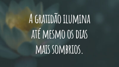 A gratidão ilumina até mesmo os dias mais sombrios.