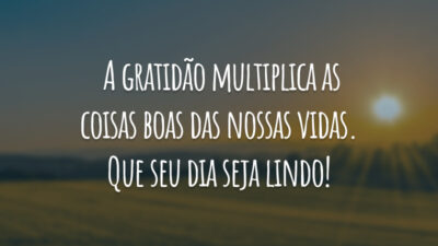 A gratidão multiplica as coisas boas das nossas vidas. Que seu dia seja lindo!