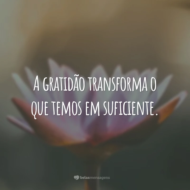 A gratidão transforma o que temos em suficiente.