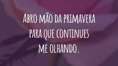 Abro mão da primavera para que continues me olhando.