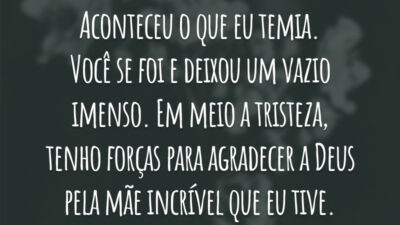 Aconteceu o que eu temia. Você se foi e deixou um vazio imenso. Em meio a tristeza, tenho forças para agradecer a Deus pela mãe incrível que eu tive.