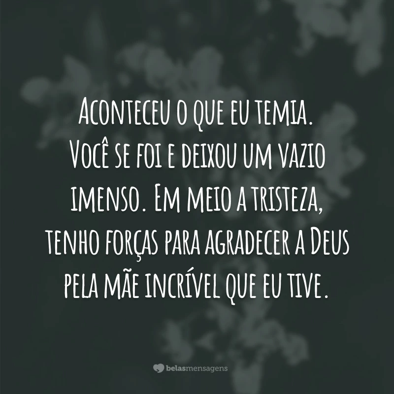 Aconteceu o que eu temia. Você se foi e deixou um vazio imenso. Em meio a tristeza, tenho forças para agradecer a Deus pela mãe incrível que eu tive.