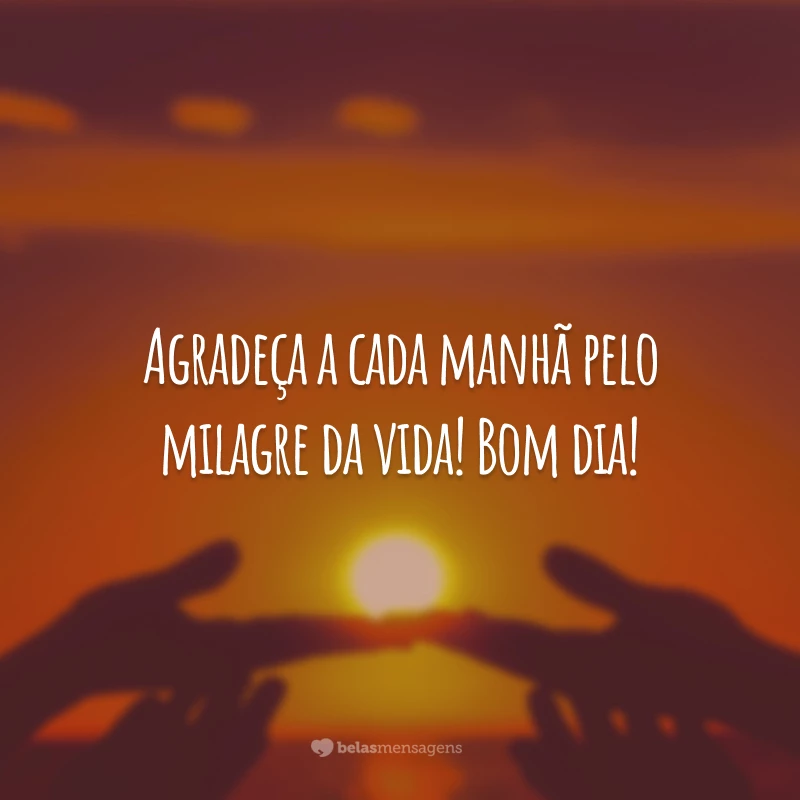 Agradeça a cada manhã pelo milagre da vida! Bom dia!