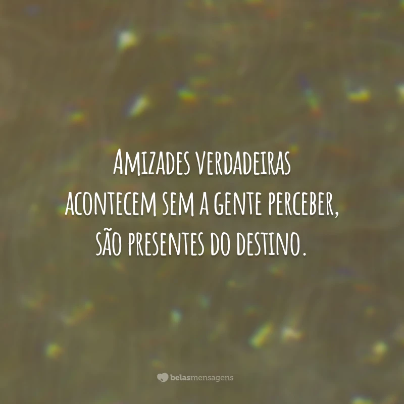 Amizades verdadeiras acontecem sem a gente perceber, são presentes do destino.