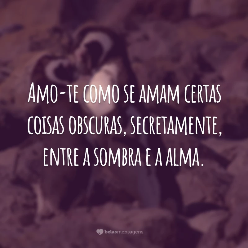 Amo-te como se amam certas coisas obscuras, secretamente, entre a sombra e a alma.