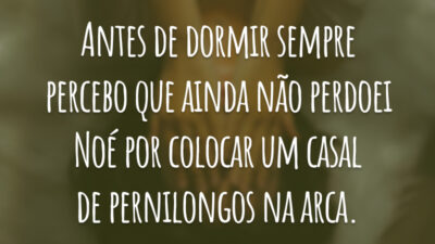 Antes de dormir sempre percebo que ainda não perdoei Noé por colocar um casal de pernilongos na arca.