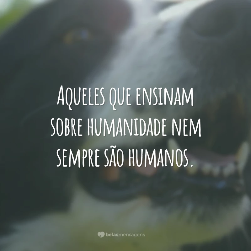 Aqueles que ensinam sobre humanidade nem sempre são humanos.