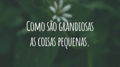 Como são grandiosas as coisas pequenas.