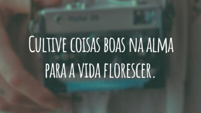 Cultive coisas boas na alma para a vida florescer.