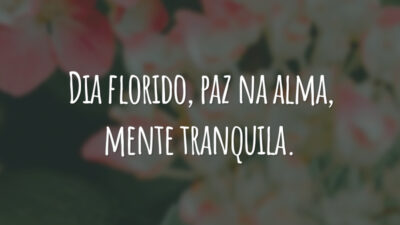 Dia florido, paz na alma, mente tranquila.