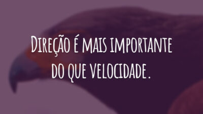 Direção é mais importante do que velocidade.
