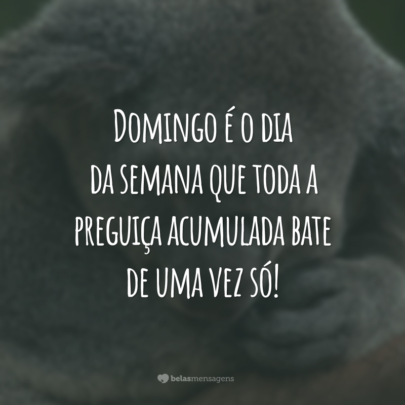 frases engraçadas, frases para status, frases divertidas, frases domingo