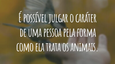 É possível julgar o caráter de uma pessoa pela forma como ela trata os animais.
