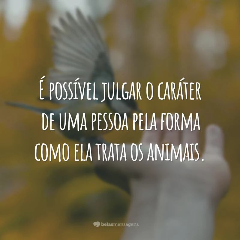 É possível julgar o caráter de uma pessoa pela forma como ela trata os animais.