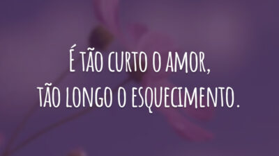 É tão curto o amor, tão longo o esquecimento.