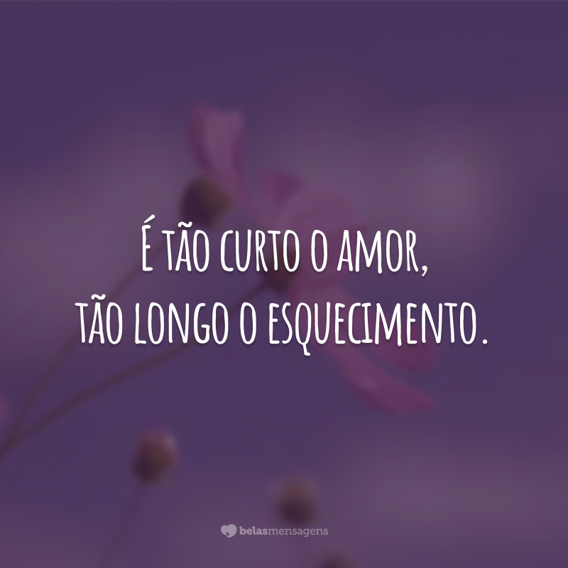 É tão curto o amor, tão longo o esquecimento.