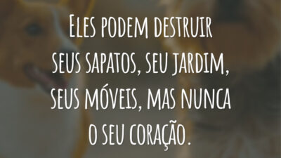 Eles podem destruir seus sapatos, seu jardim, seus móveis, mas nunca o seu coração.