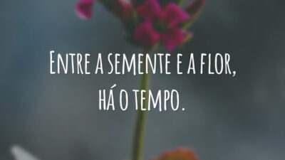 Entre a semente e a flor, há o tempo.
