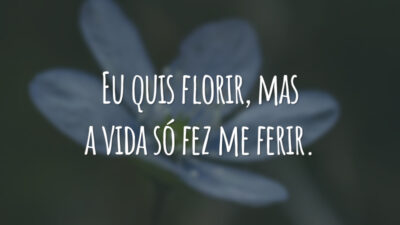 Eu quis florir, mas a vida só fez me ferir.