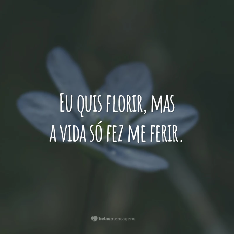 Eu quis florir, mas a vida só fez me ferir.