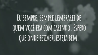 Eu sempre, sempre lembrarei de quem você era com carinho. Espero que onde estiver, esteja bem.