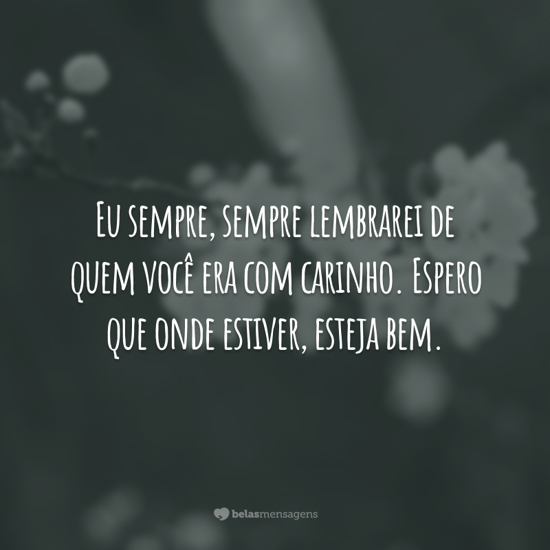 Eu sempre, sempre lembrarei de quem você era com carinho. Espero que onde estiver, esteja bem.