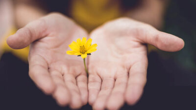 45 frases de paz na alma para refletir e aquietar a mente