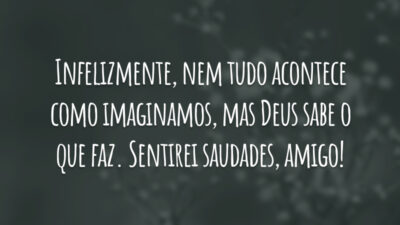 Infelizmente, nem tudo acontece como imaginamos, mas Deus sabe o que faz. Sentirei saudades, amigo!