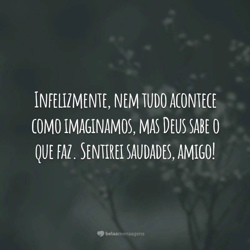 Infelizmente, nem tudo acontece como imaginamos, mas Deus sabe o que faz. Sentirei saudades, amigo!