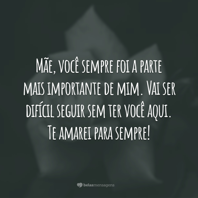 Mãe, você sempre foi a parte mais importante de mim. Vai ser difícil seguir sem ter você aqui. Te amarei para sempre!