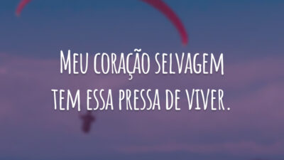 Meu coração selvagem tem essa pressa de viver.