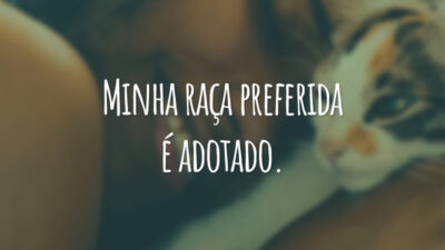 Minha raça preferida é adotado.