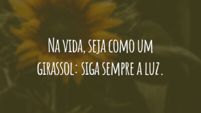 Na vida, seja como um girassol: siga sempre a luz.