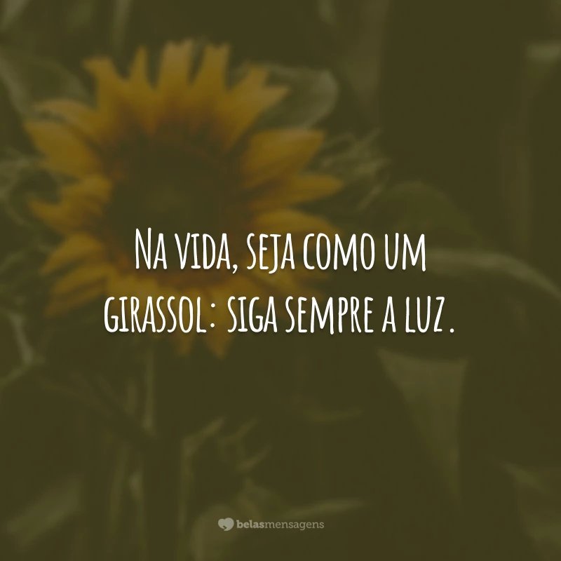 Na vida, seja como um girassol: siga sempre a luz.