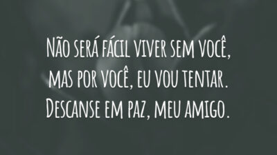 Não será fácil viver sem você, mas por você, eu vou tentar. Descanse em paz, meu amigo.