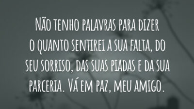 Não tenho palavras para dizer o quanto sentirei a sua falta, do seu sorriso, das suas piadas e da sua parceria. Vá em paz, meu amigo.