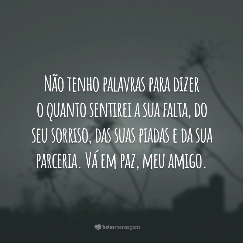 Não tenho palavras para dizer o quanto sentirei a sua falta, do seu sorriso, das suas piadas e da sua parceria. Vá em paz, meu amigo.