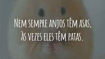 Nem sempre anjos têm asas, às vezes eles têm patas.