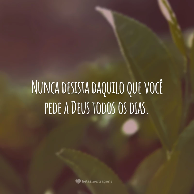 Nunca desista daquilo que você pede a Deus todos os dias.