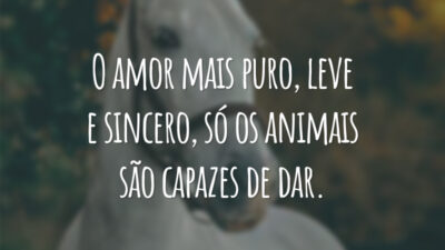 O amor mais puro, leve e sincero, só os animais são capazes de dar.