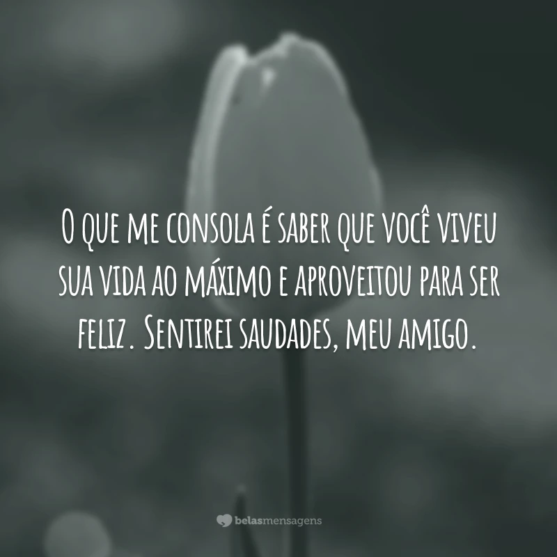 O que me consola é saber que você viveu sua vida ao máximo e aproveitou para ser feliz. Sentirei saudades, meu amigo.