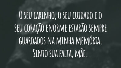 O seu carinho, o seu cuidado e o seu coração enorme estarão sempre guardados na minha memória. Sinto sua falta, mãe.