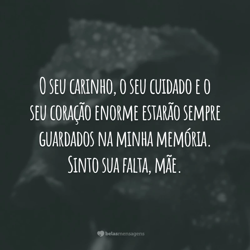 O seu carinho, o seu cuidado e o seu coração enorme estarão sempre guardados na minha memória. Sinto sua falta, mãe.