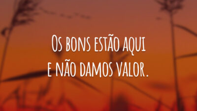 Os bons estão aqui e não damos valor.