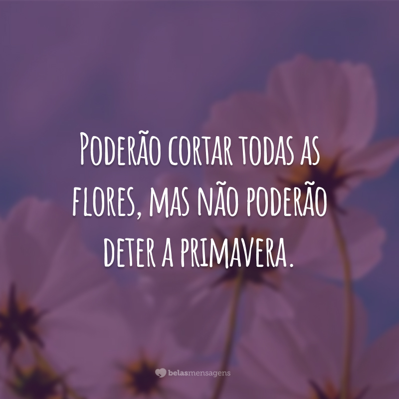 Poderão cortar todas as flores, mas não poderão deter a primavera.